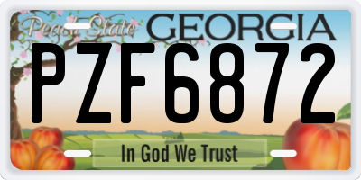 GA license plate PZF6872
