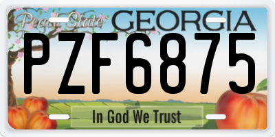GA license plate PZF6875