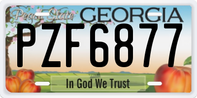 GA license plate PZF6877