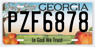 GA license plate PZF6878
