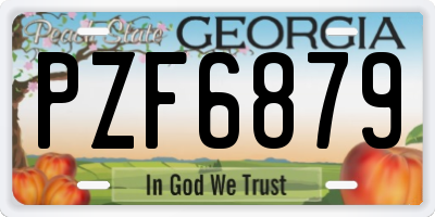GA license plate PZF6879