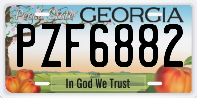 GA license plate PZF6882