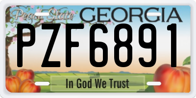 GA license plate PZF6891