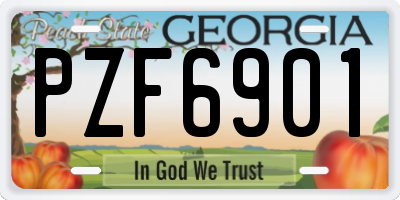 GA license plate PZF6901