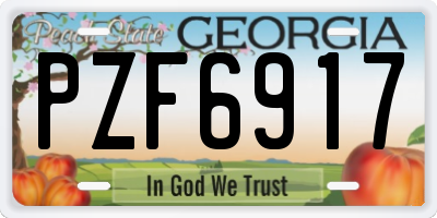 GA license plate PZF6917