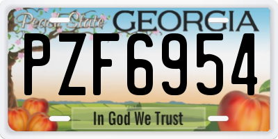 GA license plate PZF6954