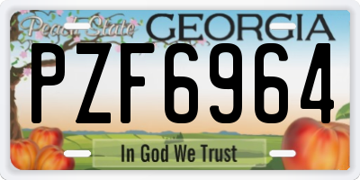 GA license plate PZF6964