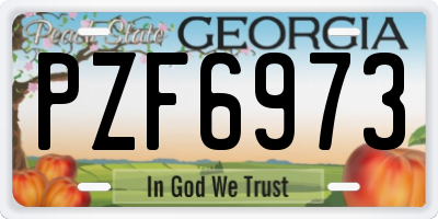 GA license plate PZF6973