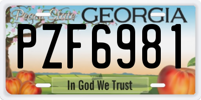 GA license plate PZF6981