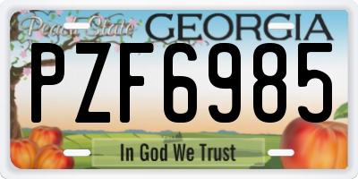 GA license plate PZF6985