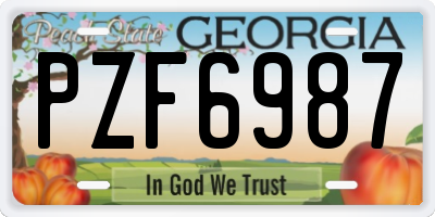 GA license plate PZF6987