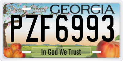 GA license plate PZF6993
