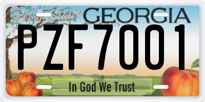 GA license plate PZF7001