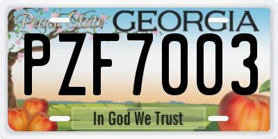 GA license plate PZF7003