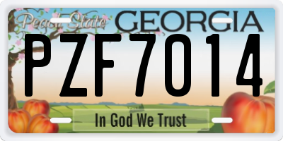 GA license plate PZF7014