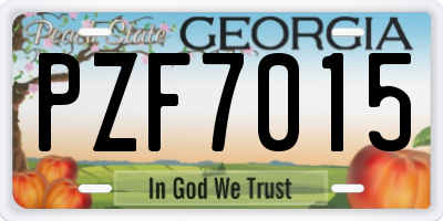 GA license plate PZF7015