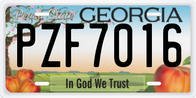 GA license plate PZF7016