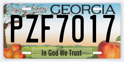 GA license plate PZF7017