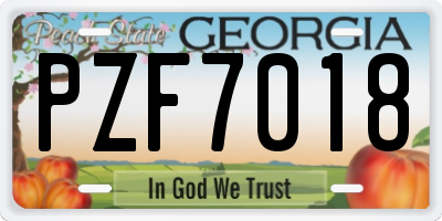 GA license plate PZF7018
