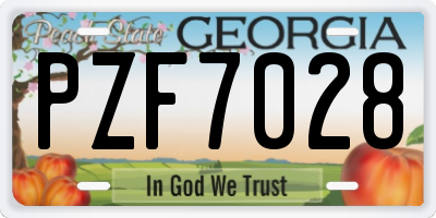 GA license plate PZF7028