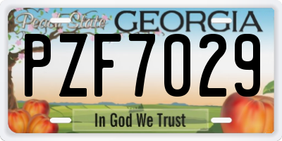 GA license plate PZF7029