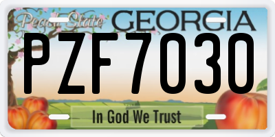 GA license plate PZF7030