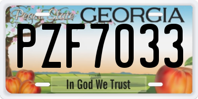 GA license plate PZF7033