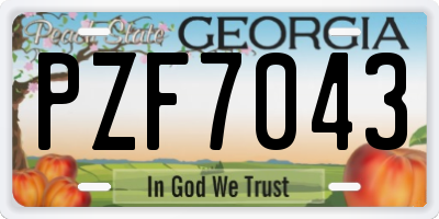 GA license plate PZF7043