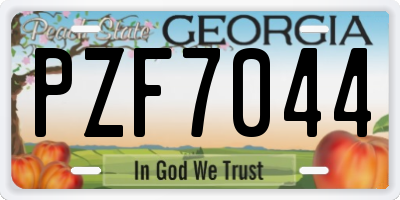 GA license plate PZF7044