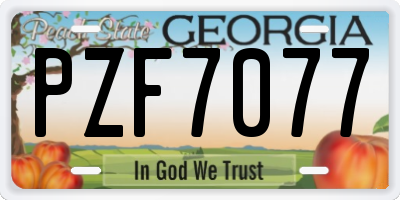 GA license plate PZF7077