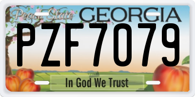 GA license plate PZF7079