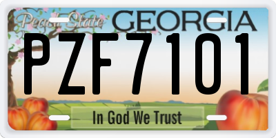 GA license plate PZF7101