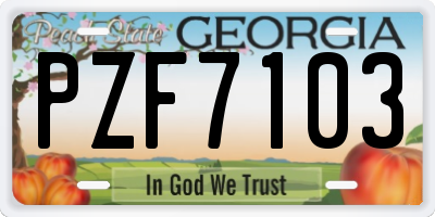 GA license plate PZF7103