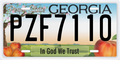 GA license plate PZF7110
