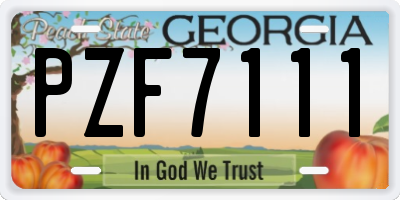 GA license plate PZF7111