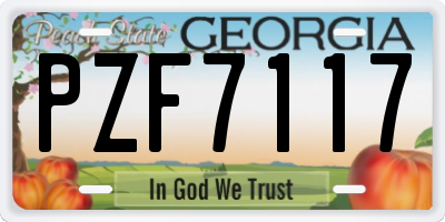 GA license plate PZF7117