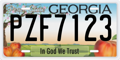 GA license plate PZF7123