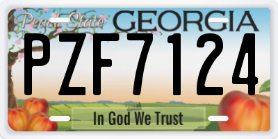 GA license plate PZF7124