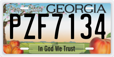 GA license plate PZF7134