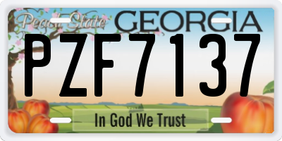 GA license plate PZF7137