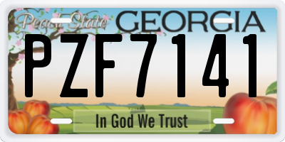 GA license plate PZF7141