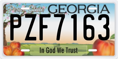 GA license plate PZF7163
