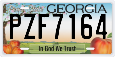 GA license plate PZF7164