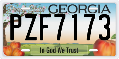 GA license plate PZF7173