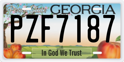 GA license plate PZF7187