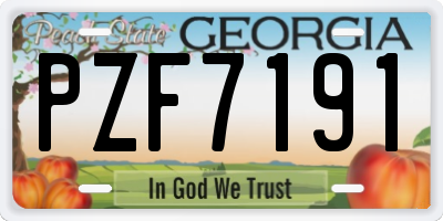 GA license plate PZF7191