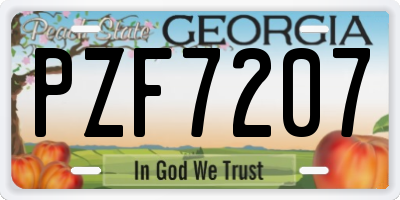 GA license plate PZF7207