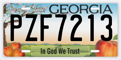 GA license plate PZF7213