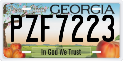 GA license plate PZF7223