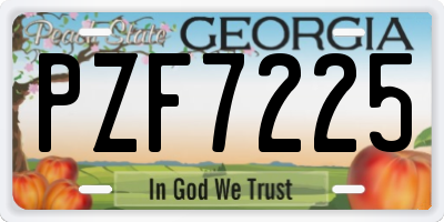 GA license plate PZF7225